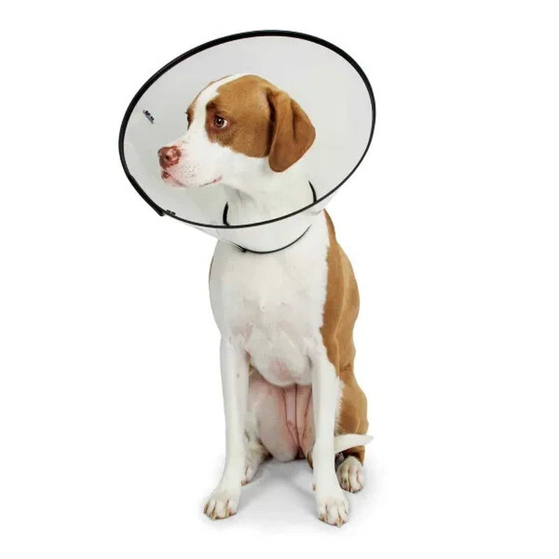 Elizabethan Dog Collar Cone, Medical Wound Heal, Total Pet Health, XS S M L XL