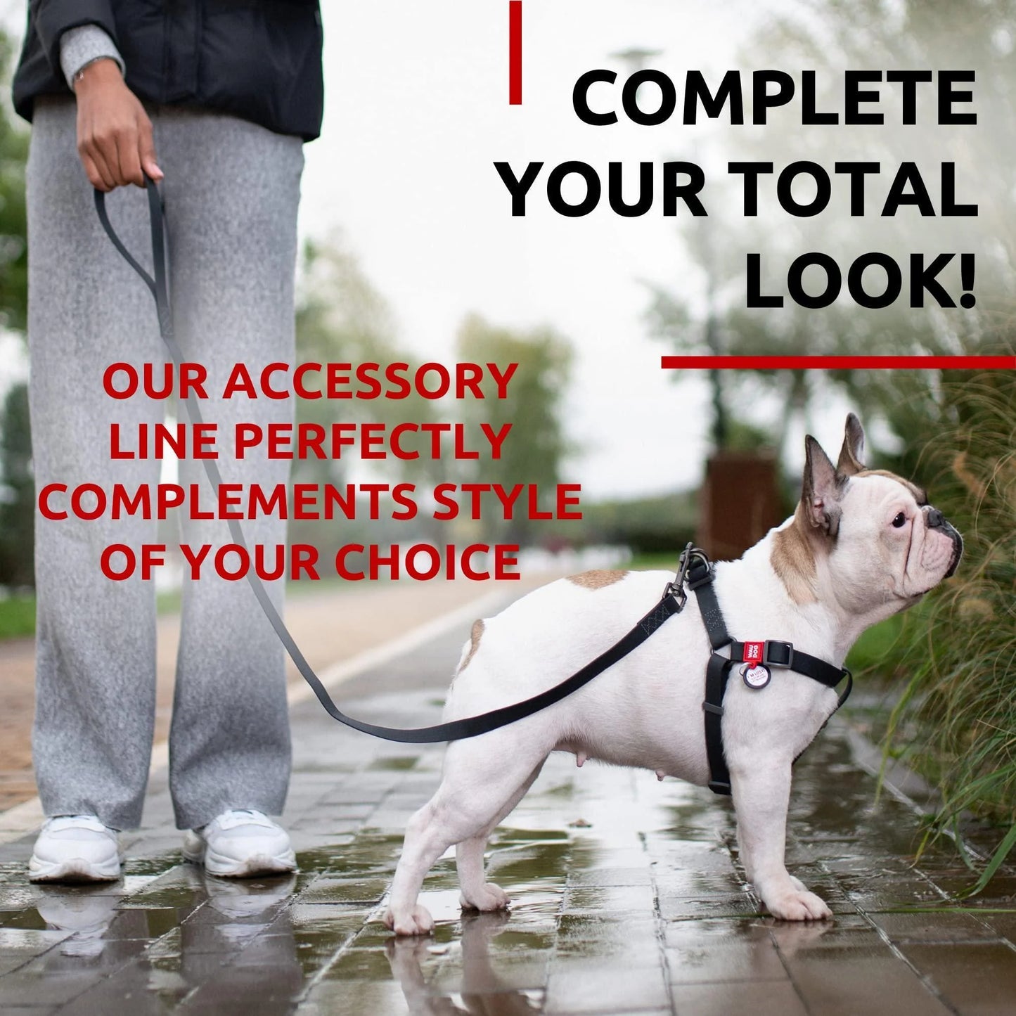 Waterproof Dog Leash 4 Ft 6 Ft anti Slip Dog Leash for Large Dogs Small and Medium Dogs Heavy Duty Dog Leash with Water and Dirt Resistant Long or Short Dog Leashes for Boy & Girl Dogs