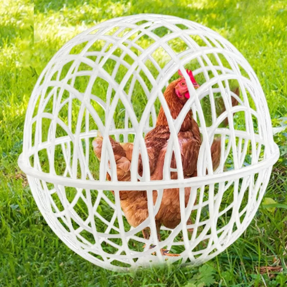 Ball Cage for Chickens,Movable 3 Pieces Chicken Orb Ball Cage Pet Safety Chicken Cage - Ball-Shaped Chicken Hamster Ball Cage Sa