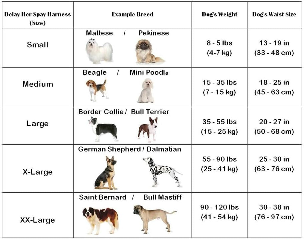 Pet Anti-Breeding System (PABS) Sani-T Pad Refill (12 Sani-T Pads, Large)