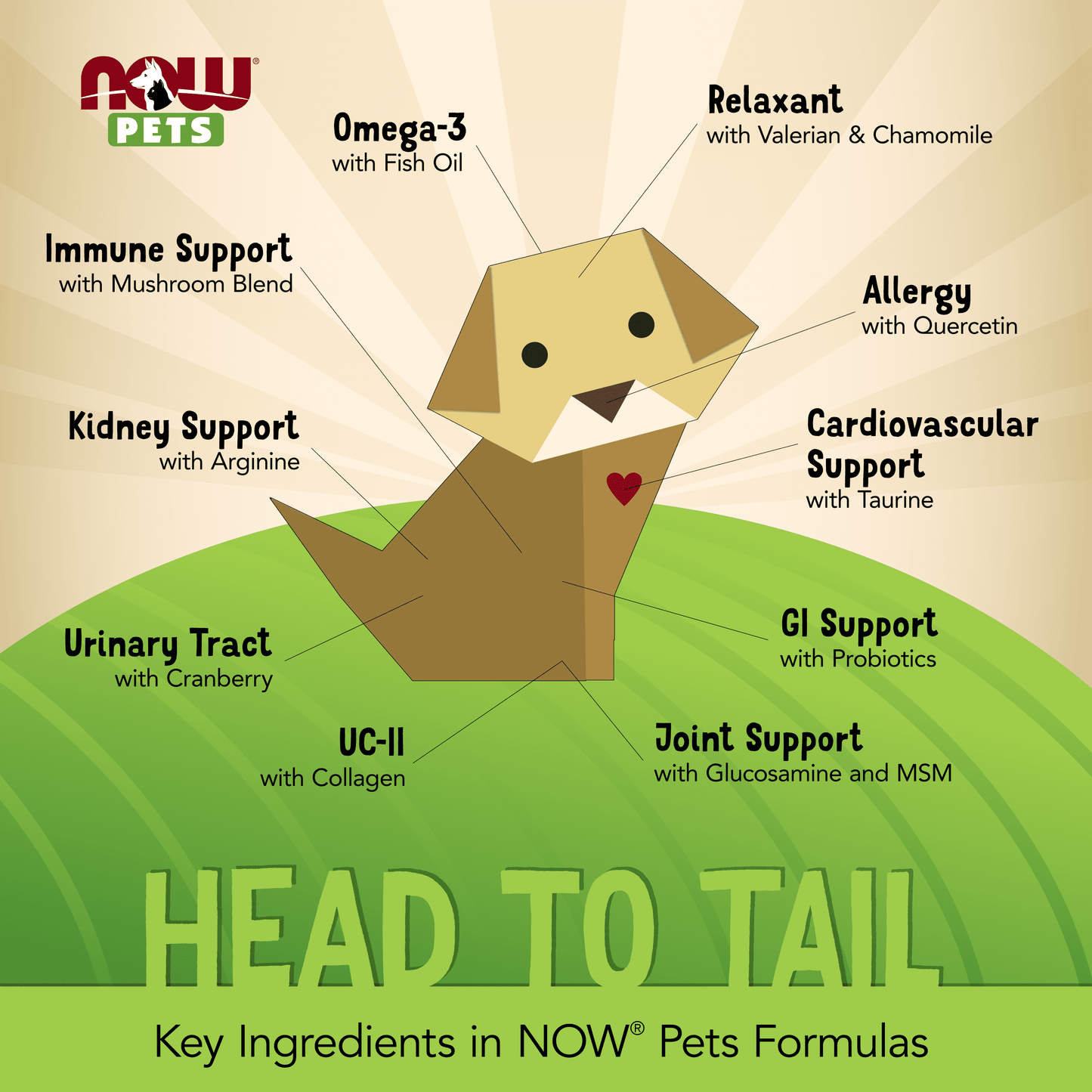 Pet Health, L-Lysine Supplement, Powder, Formulated for Cats, NASC Certified, 8-Ounce