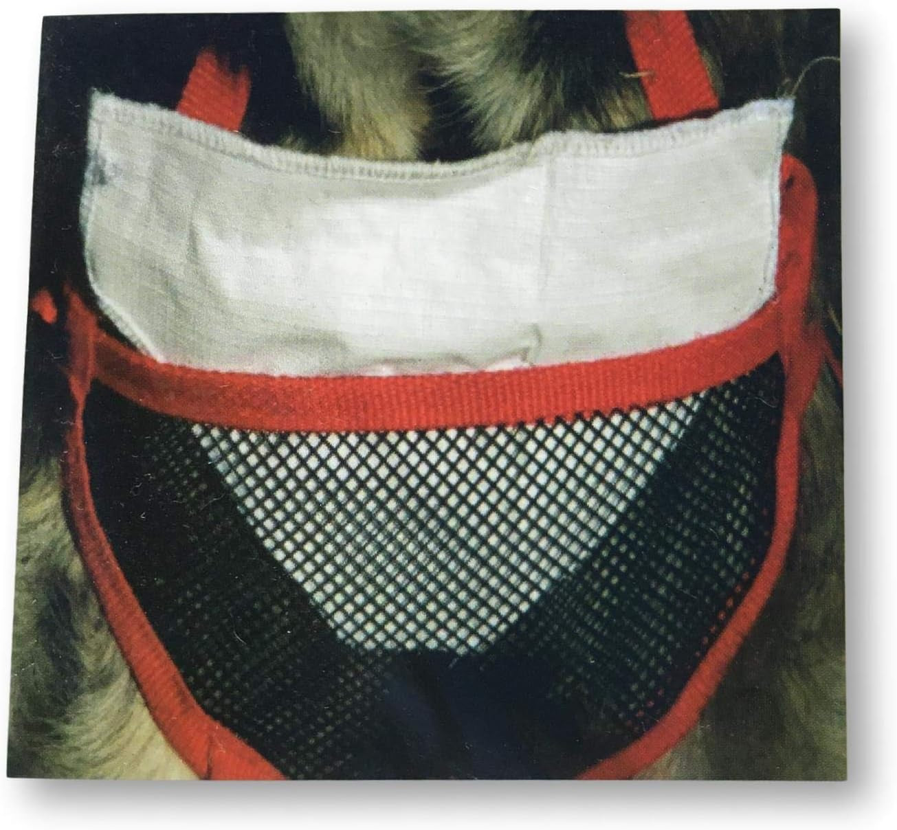 Pet Anti-Breeding System (PABS) Sani-T Pad Refill (12 Sani-T Pads, Large)