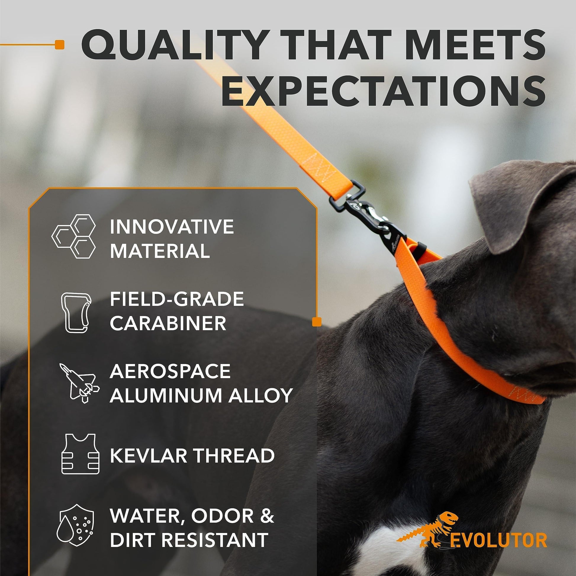 Orange Evolutor Extra Heavy Duty Dog Leash 10 Ft Durable Leash for Large Dogs